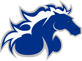 North American University banner logo