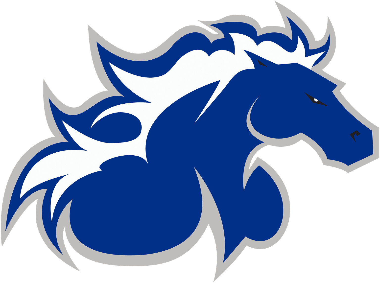 North American University
