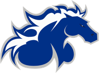 North American University banner logo
